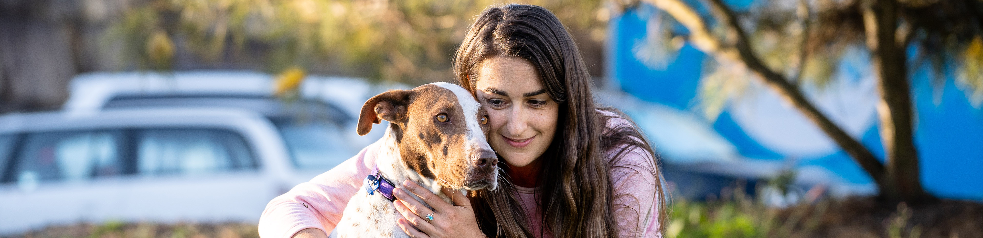 Poppy and their foster owner